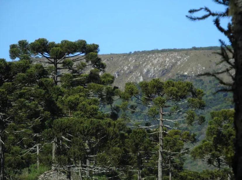 Estalagem Villa Serrana Urubici Buitenkant foto